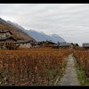20121112_0039